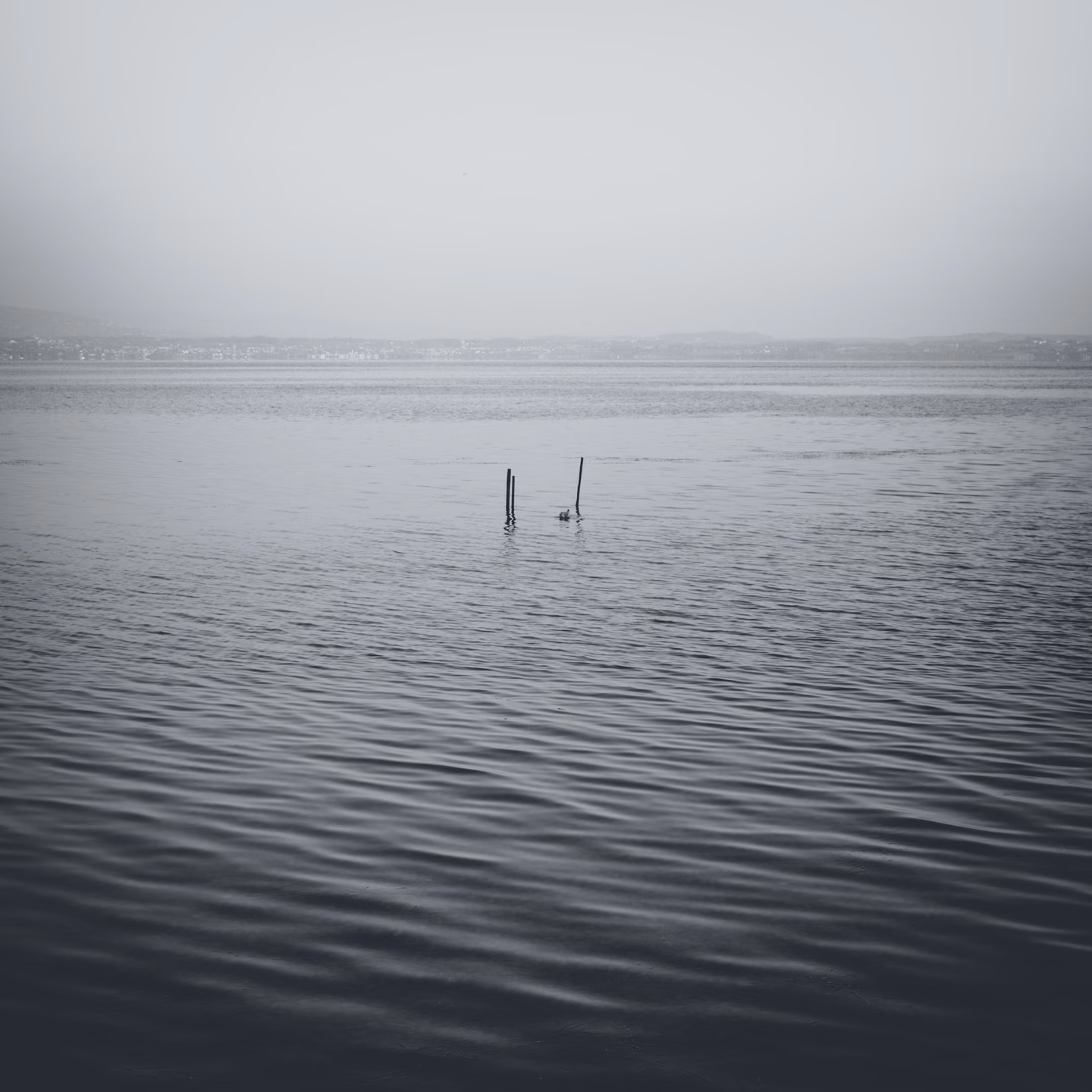 Monochrome